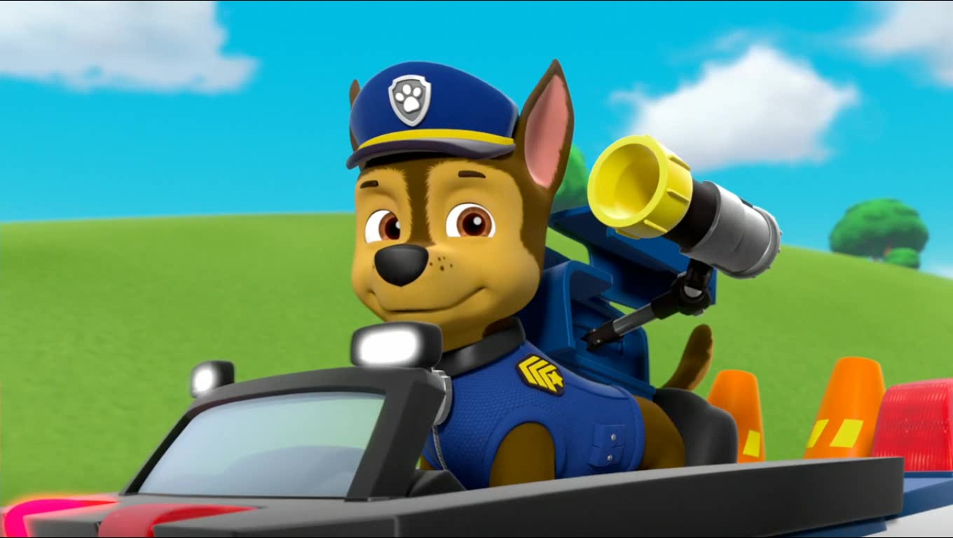 pups save the runaway kitties