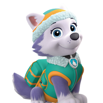 everest auto paw patrol