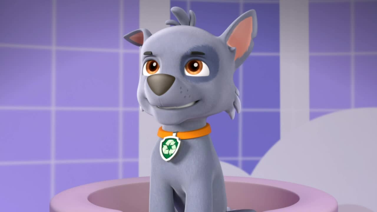 Rocky/Gallery/Pup-Tacular | PAW Patrol Wiki | FANDOM powered by Wikia