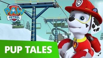 super paw patrol hindi