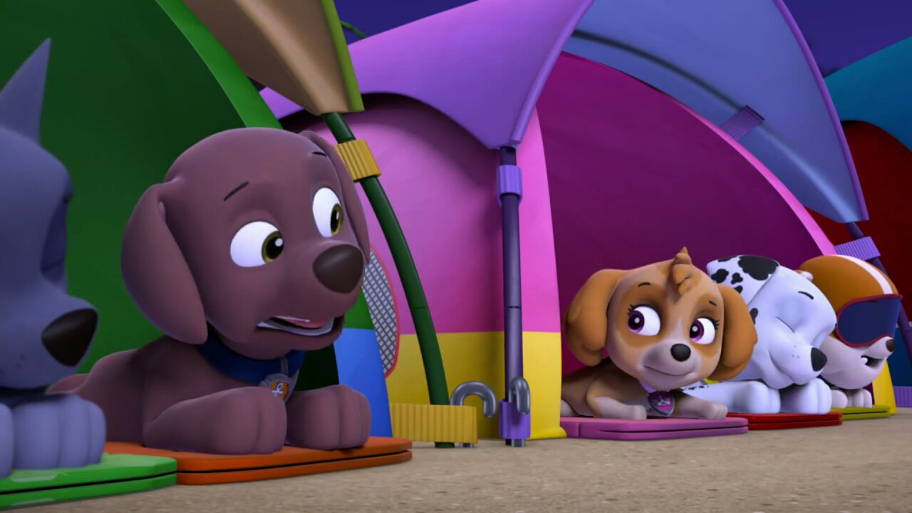 Paw Patrol Зума