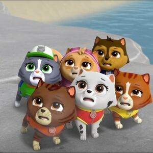 Cat Skye Gallery Mighty Pups Super Paws Pups Save A Mega Mayor