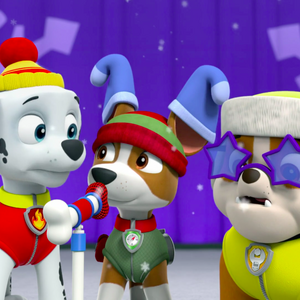 Marshall Gallery The Pups Winter Wonder Show Paw Patrol Wiki