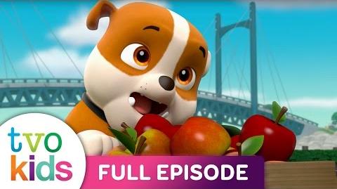 Video - Paw Patrol - SEASON 4 - Pups Save the Critters - ALL - NEW - EPISODE! | PAW Patrol Wiki
