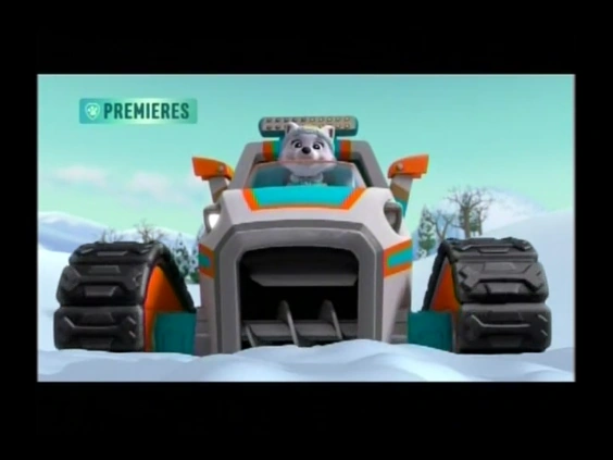 everest paw patrol racer