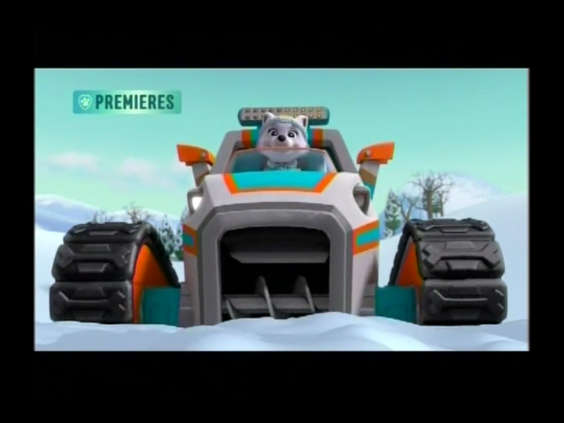 paw patrol everest auto