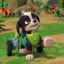 Rex/Gallery/Dino Rescue: Pups Save a Pterodactyl | PAW Patrol Wiki | Fandom