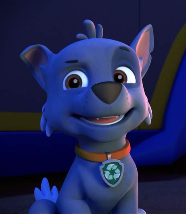 mighty pups rocky toy