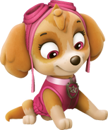 Skye/Gallery | PAW Patrol Wiki | FANDOM powered by Wikia