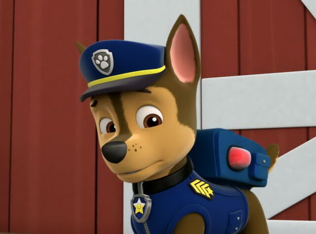 File:Poor chase..!!.jpg