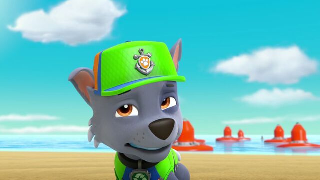 Image - PAW.Patrol.S04E19.Pups.Save.A.Baby.Octopus.1080p.NICK.WEB-DL ...