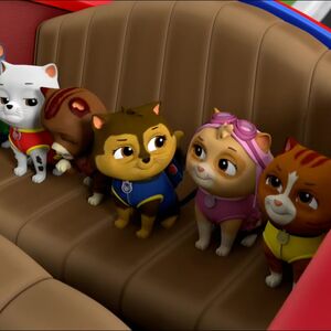 Cat Skye Gallery Pups Save Ace S Birthday Surprise Paw Patrol