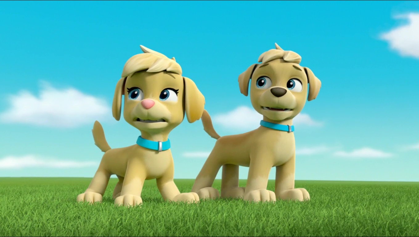 smyths paw patrol twins