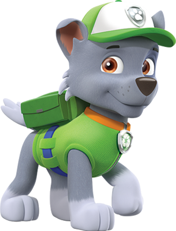 Rocky | Wiki PAW Patrol | Fandom