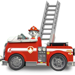 paw patrol ladder