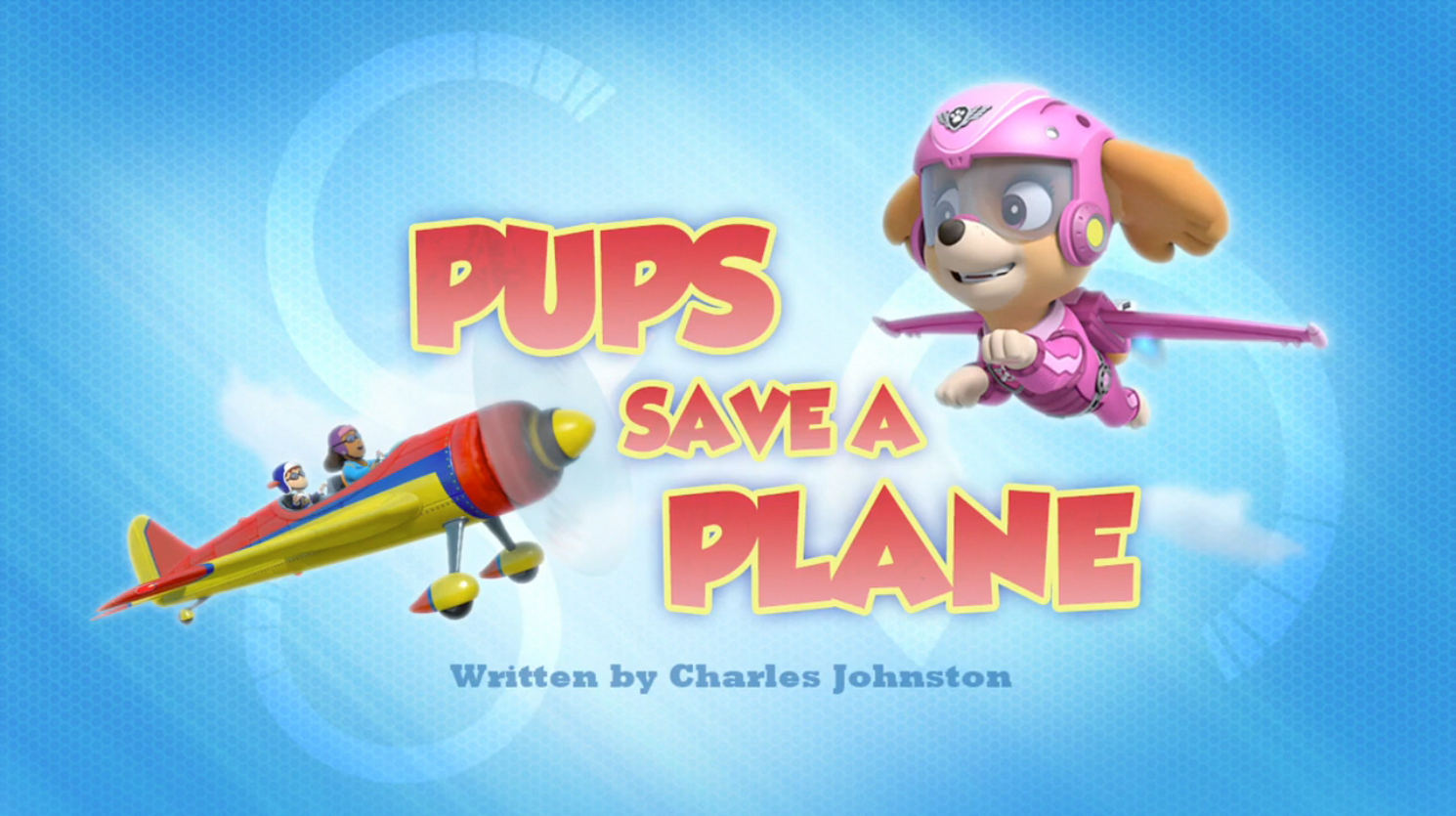 paw patrol airplane toy