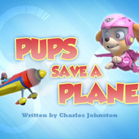 paw patrol aeroplane