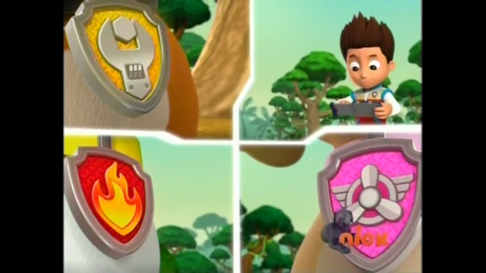 Ryder/Gallery/Pups Save the Parrot | PAW Patrol Wiki | FANDOM powered