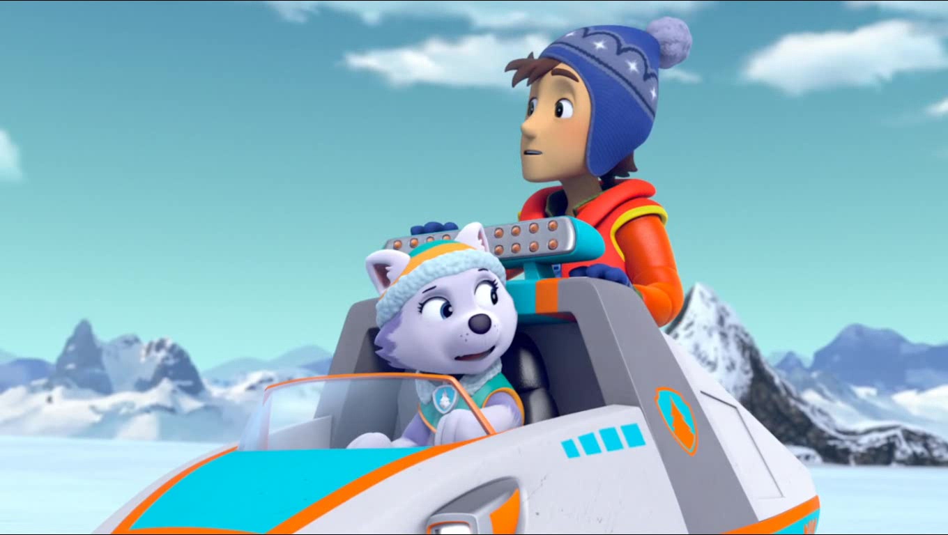 paw patrol everest in a coma