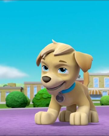 Tuck Paw Patrol Wiki Fandom