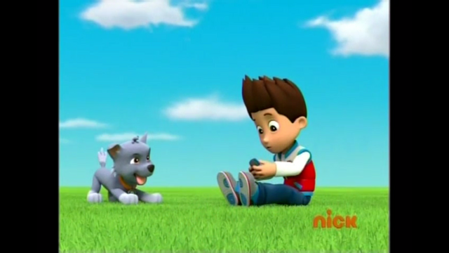 File:Pp511.png