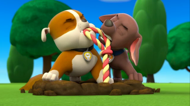 Zumagallerypups Save A Toof Paw Patrol Wiki Fandom Powered By Wikia 