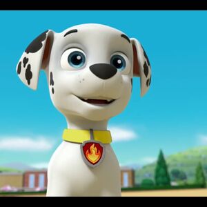 flying marshall paw patrol