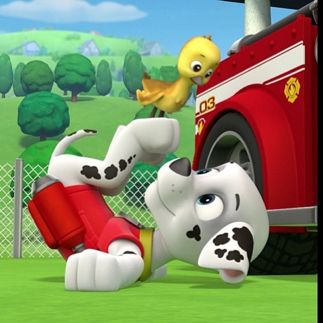 fuzzy felt paw patrol set