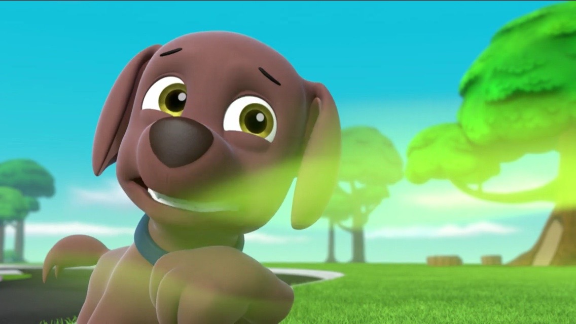 paw patrol pups and the stinky bubble trouble