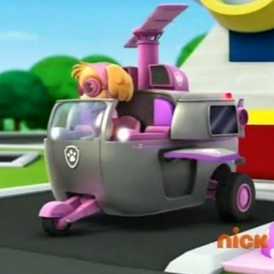 Skye Paw Patrol Wiki Fandom
