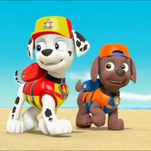 marshall paw patrol sea patrol