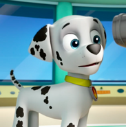 Marshall/Gallery/Pup Pup Goose | PAW Patrol Wiki | FANDOM powered by Wikia