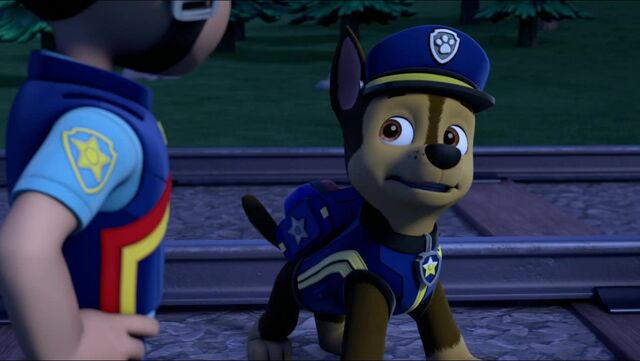 paw patrol royal kitties