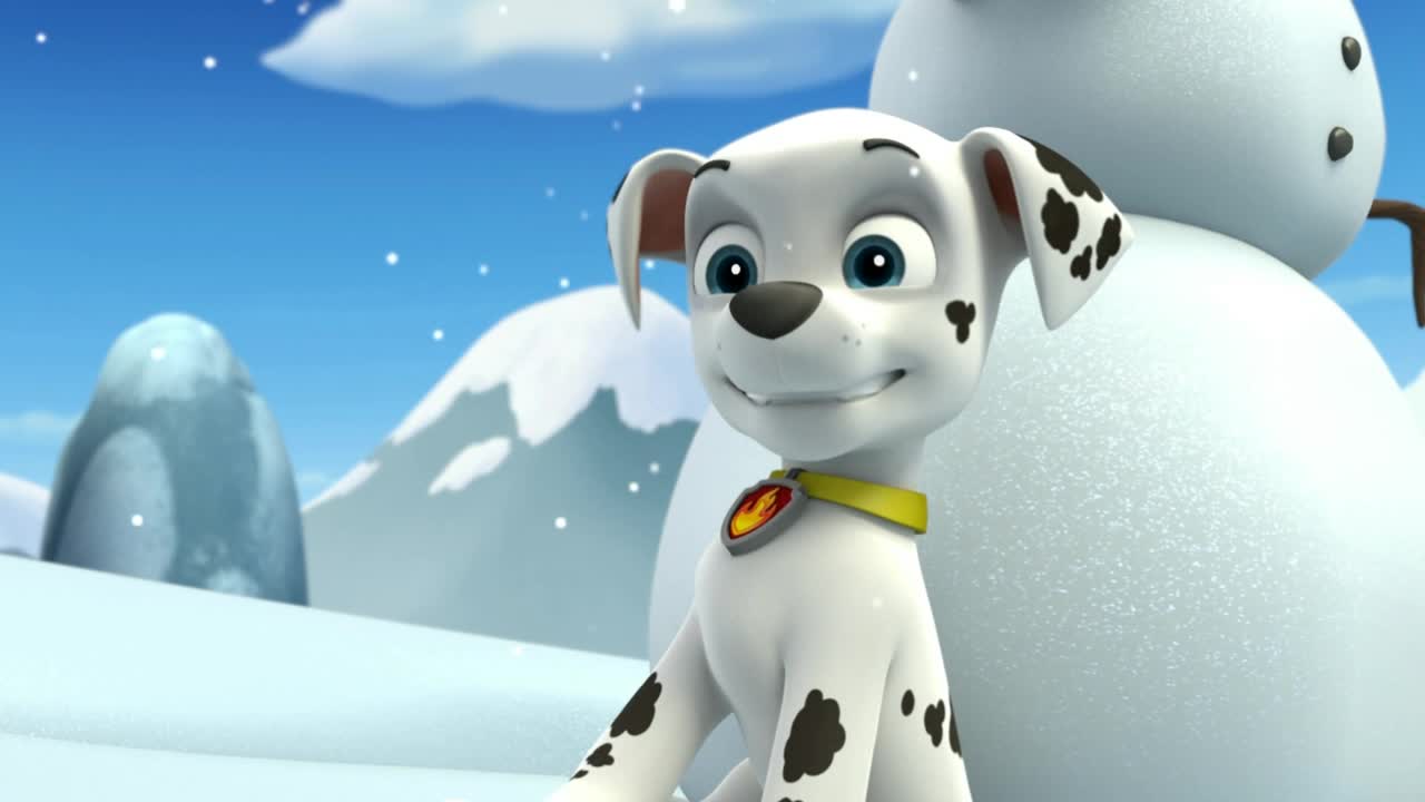 paw patrol snow set