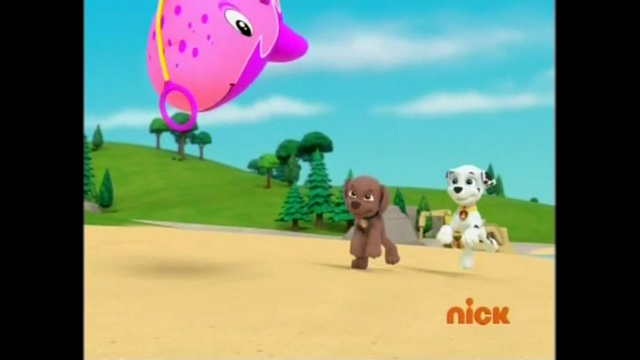 File:Pp308.png