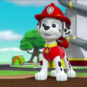 paw patroller marshall