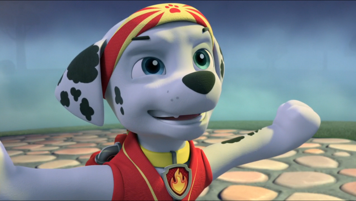 paw patrol pup power
