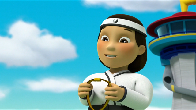 paw patrol pup fu