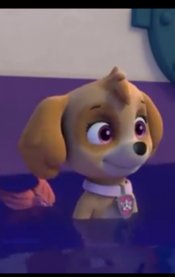 Image - Skye- Pups Save a Mer-pup - swim.jpg | PAW Patrol Wiki | FANDOM powered by Wikia