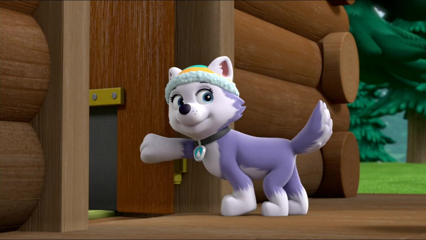 Image City Kitty 7 Paw Patrol Wiki Fandom Powered By Wikia