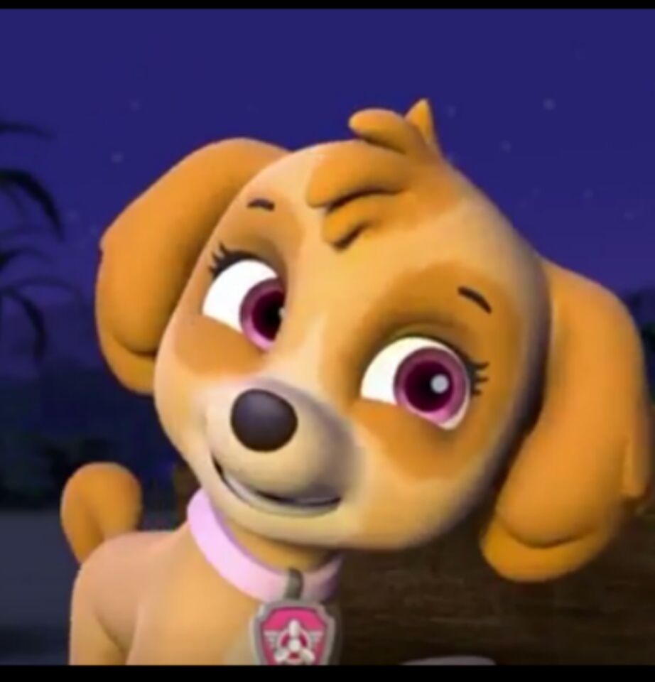 paw patrol pups save a mer pup dailymotion