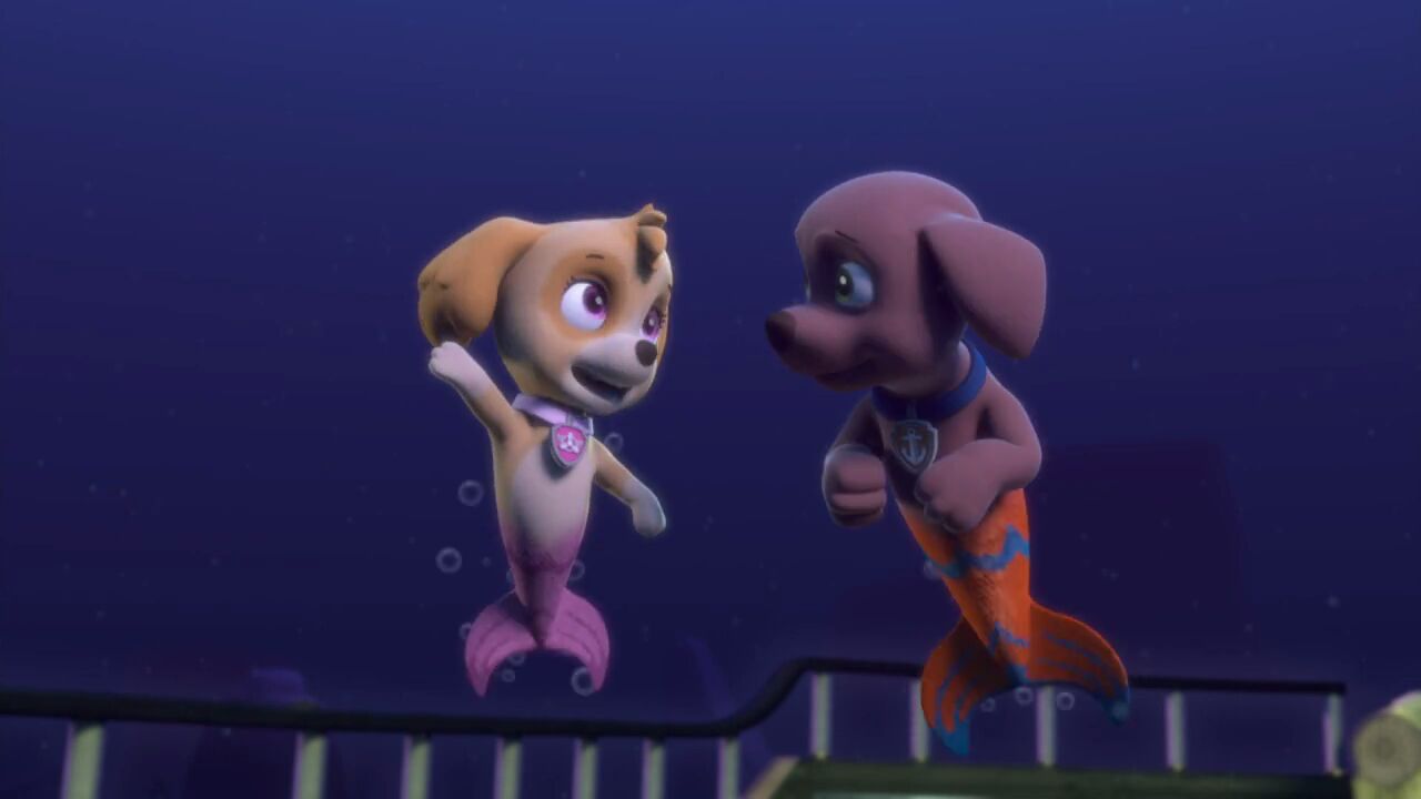 Image - PAW.Patrol.S02E16.Pups.Save.a.Mer-Pup.720p.WEBRip.x264.AAC 816149.jpg | PAW Patrol Wiki