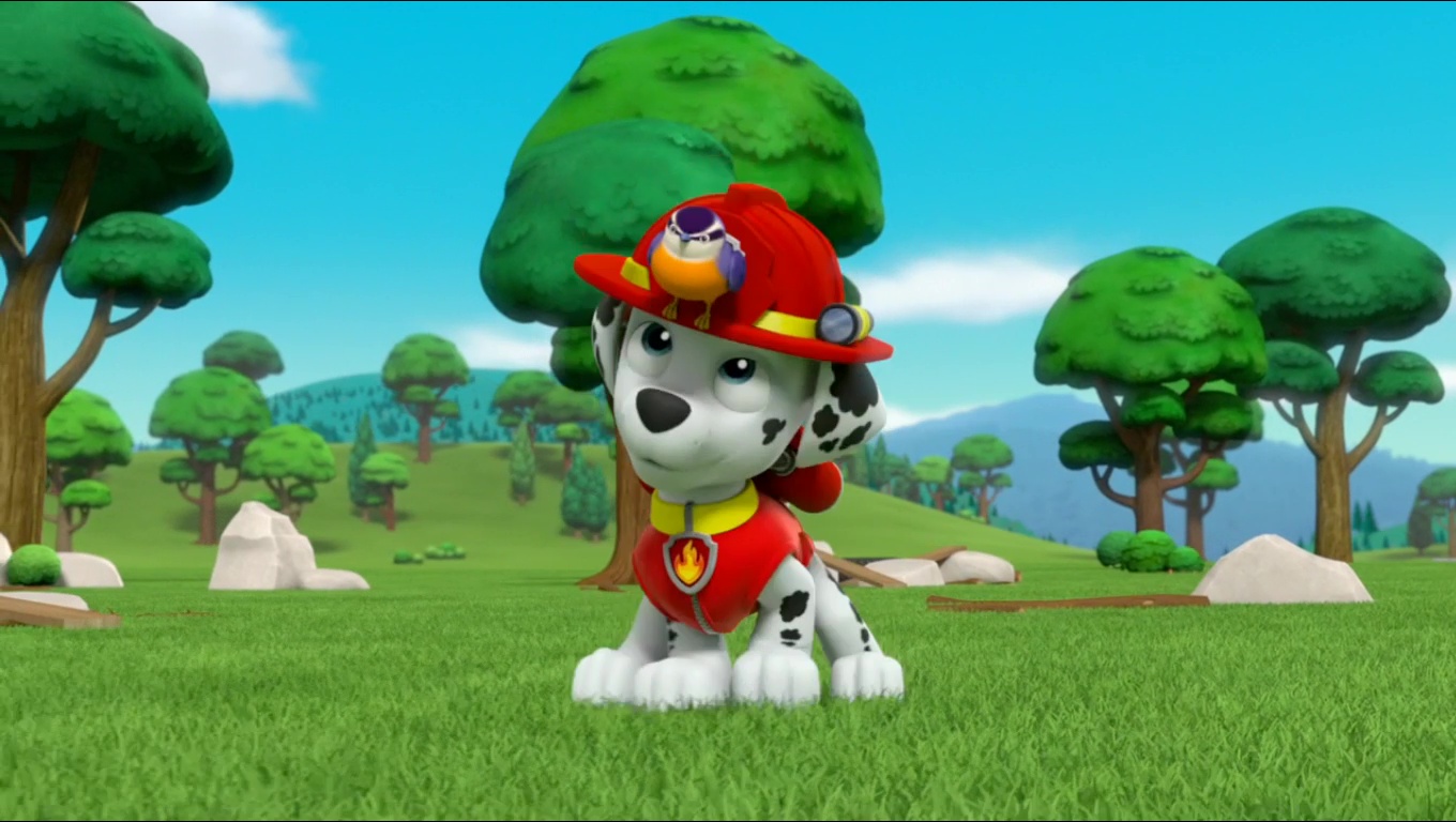paw patrol ride on with house