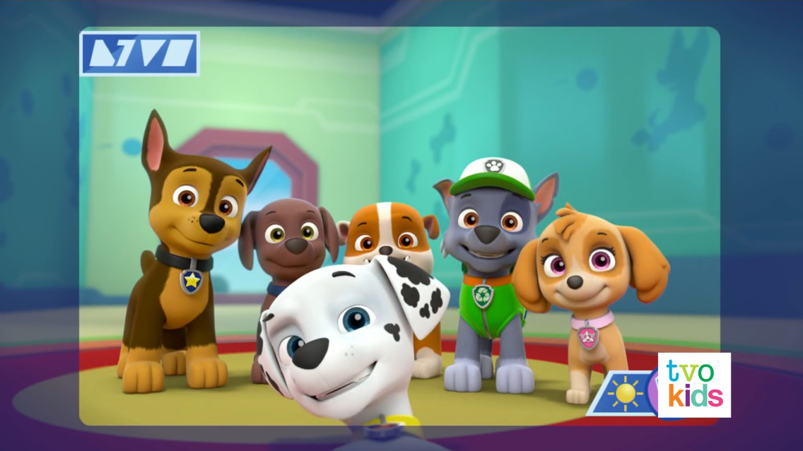 paw patrol pups save skye