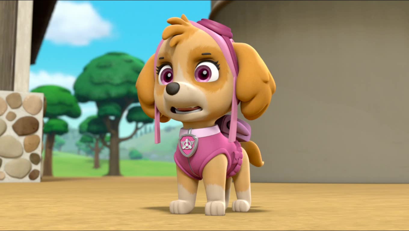 Pups Save A Popped Topquotes Paw Patrol Wiki Fandom Powered By Wikia 