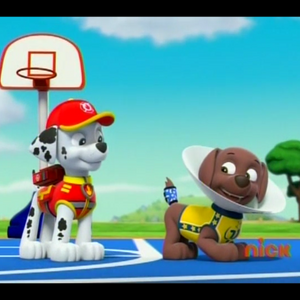 Zuma Game Song Zuma Game Song