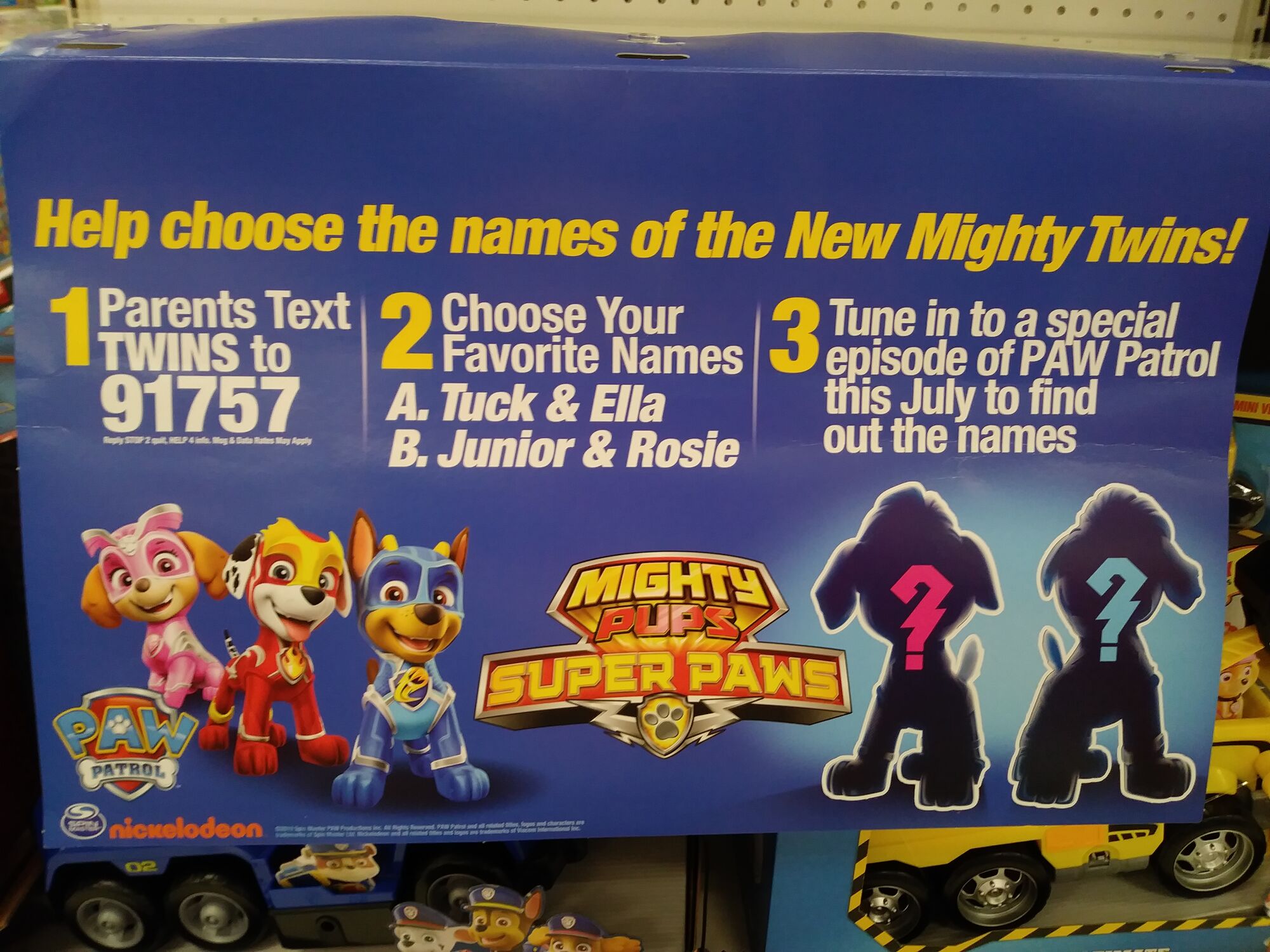 User blog:FlyingFoxBat/New Mighty Twins Pups? | PAW Patrol Wiki | Fandom