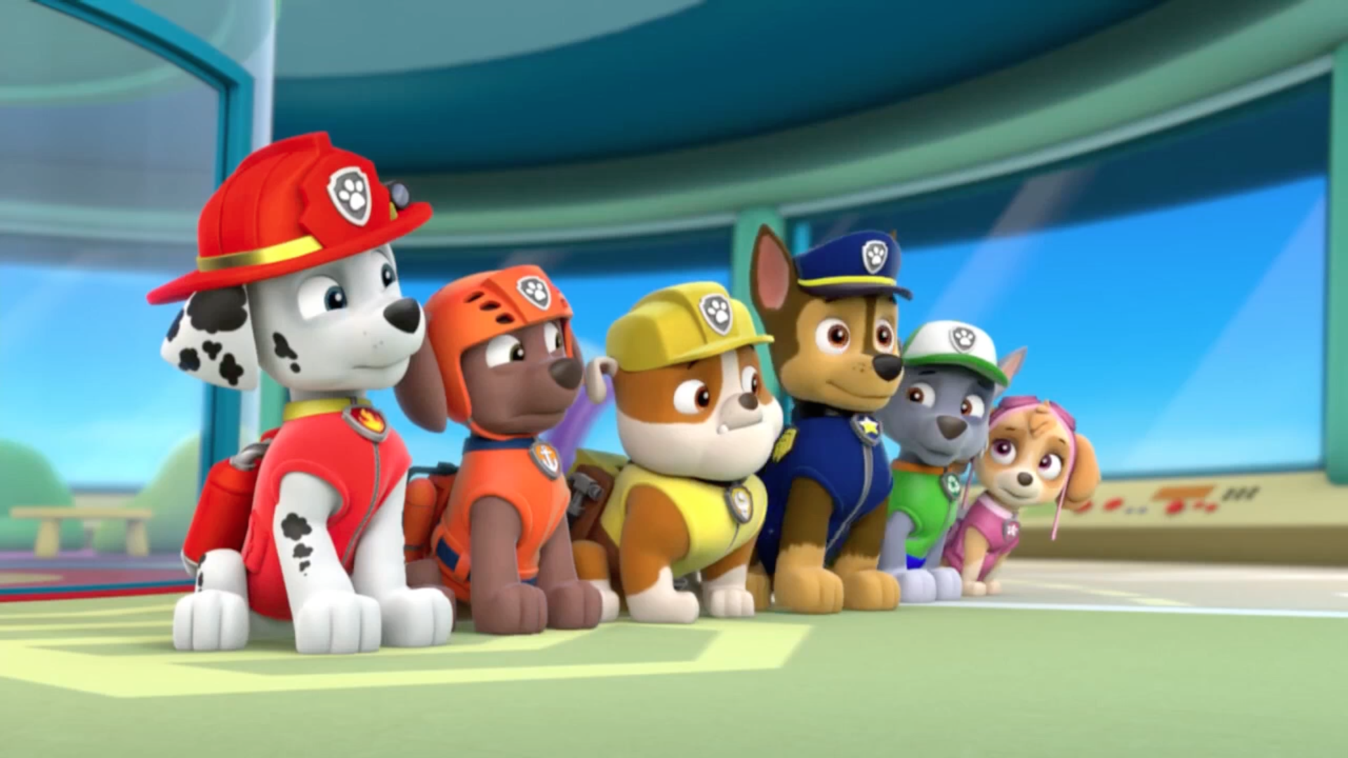 ryder chase paw patrol