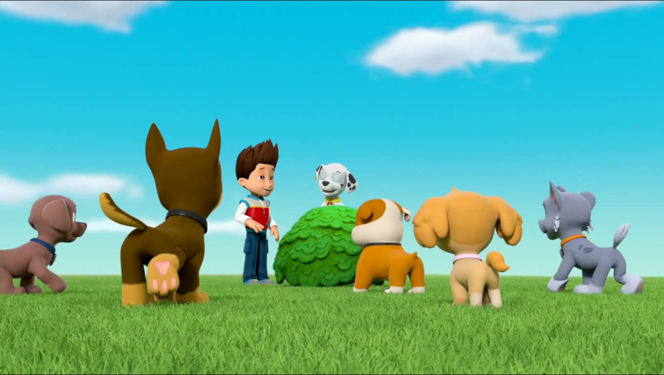 Rubblegallerypups Save A Popped Top Paw Patrol Wiki Fandom Powered By Wikia 