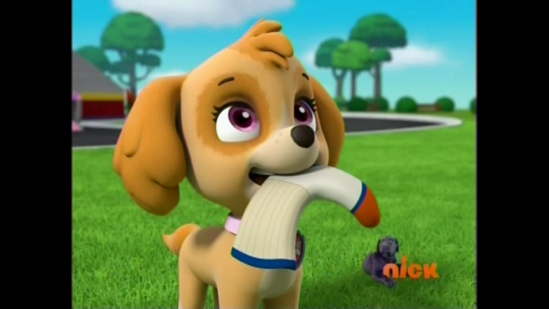 Skye/Gallery/Pups' Adventures in Babysitting | PAW Patrol Wiki | Fandom